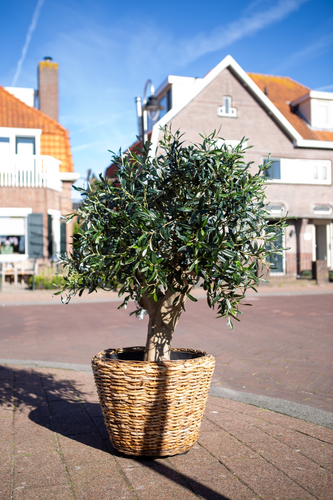 Kunstolijfboom op echte houten stam-UV bestendig