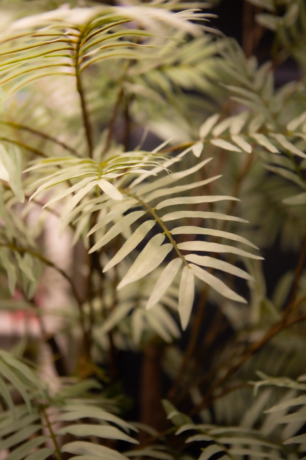 Handgemaakte zilverpalm- op echte houten stam
